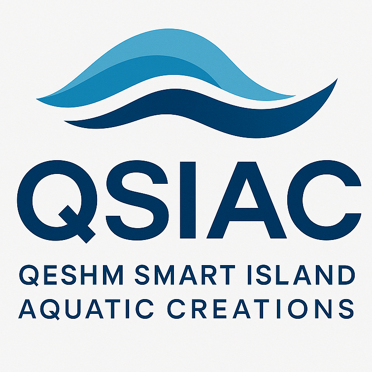 QSIAC Logo